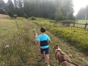 LepetitaventurierAncelle 300x225 - Petit aventurier